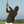 Solo Gol Co. DeSales Zip Up - Charcoal